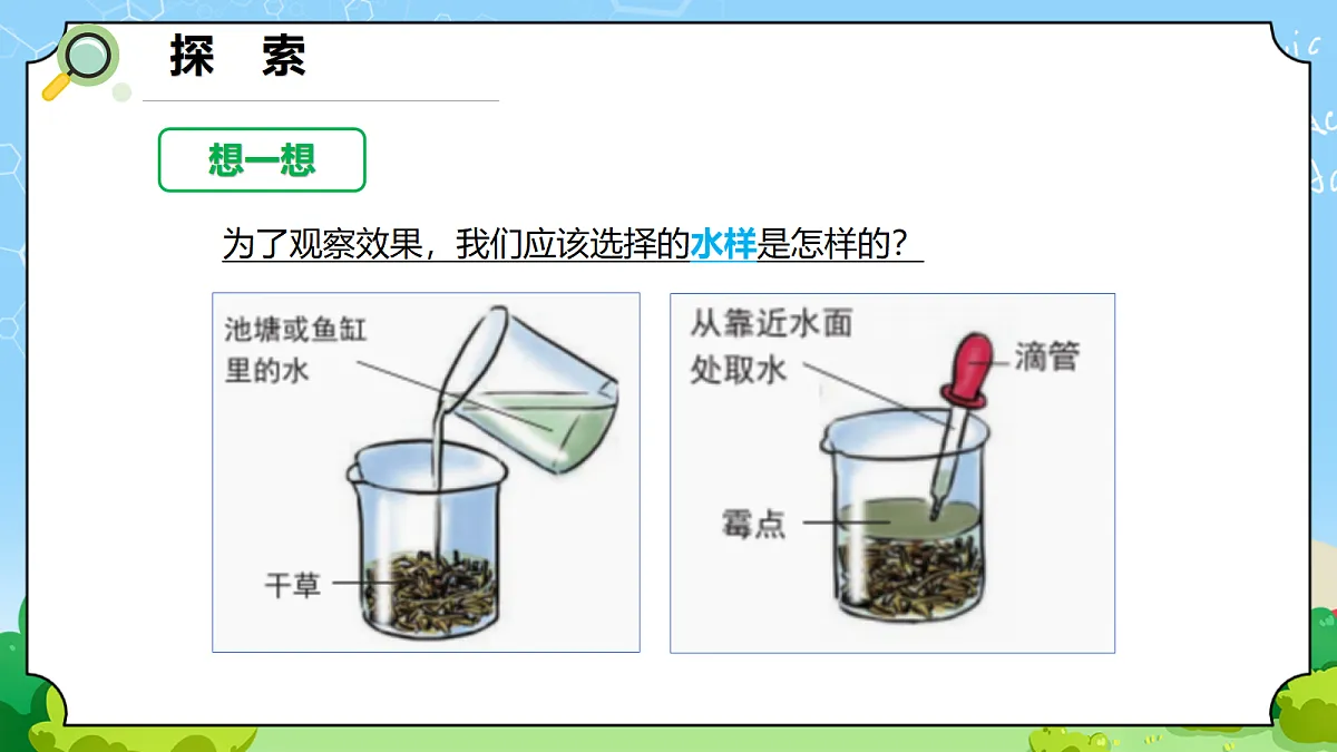 1.6 《观察水中的微小生物》 - 小学科学五年级上册 同步教学课件(教科版2024)第3页