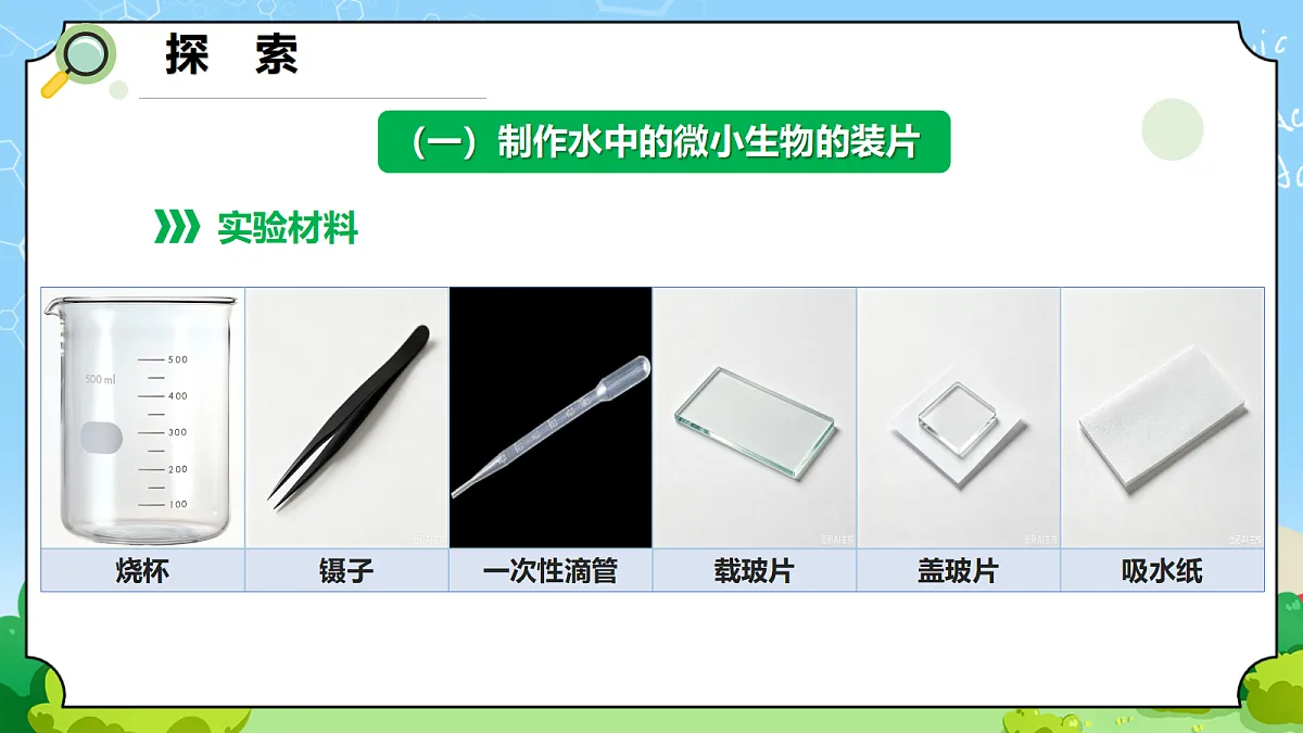1.6 《观察水中的微小生物》 - 小学科学五年级上册 同步教学课件(教科版2024)第4页