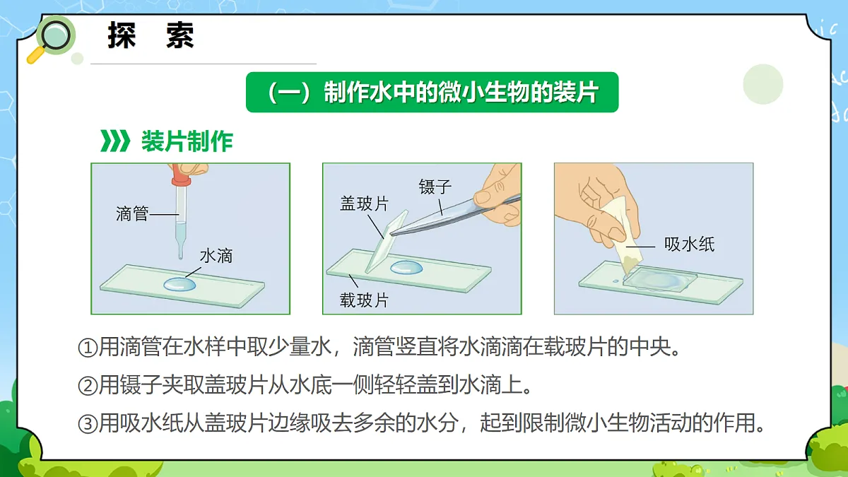 1.6 《观察水中的微小生物》 - 小学科学五年级上册 同步教学课件(教科版2024)第5页