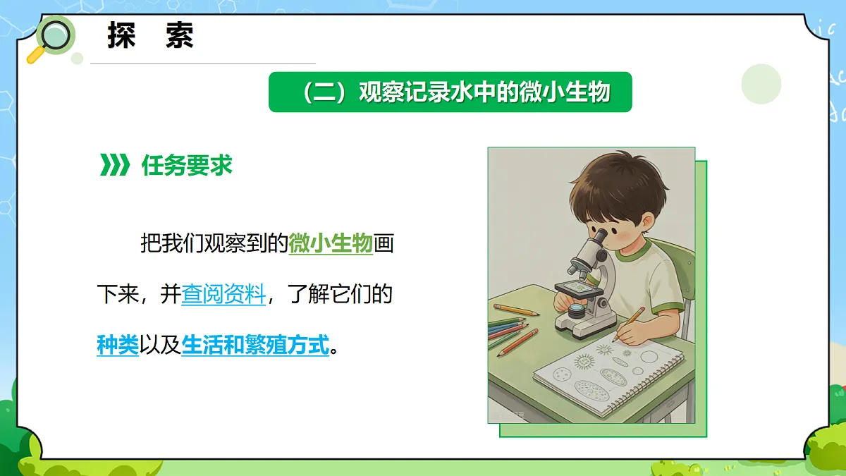 1.6 《观察水中的微小生物》 - 小学科学五年级上册 同步教学课件(教科版2024)第6页