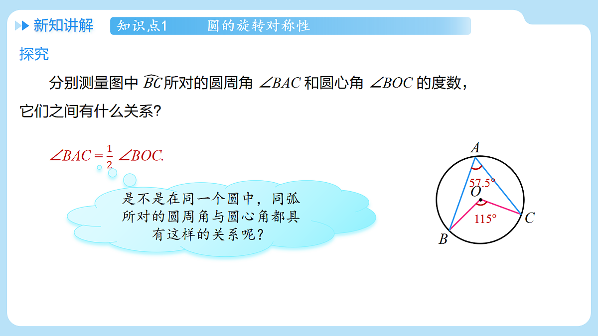 18607232第7页