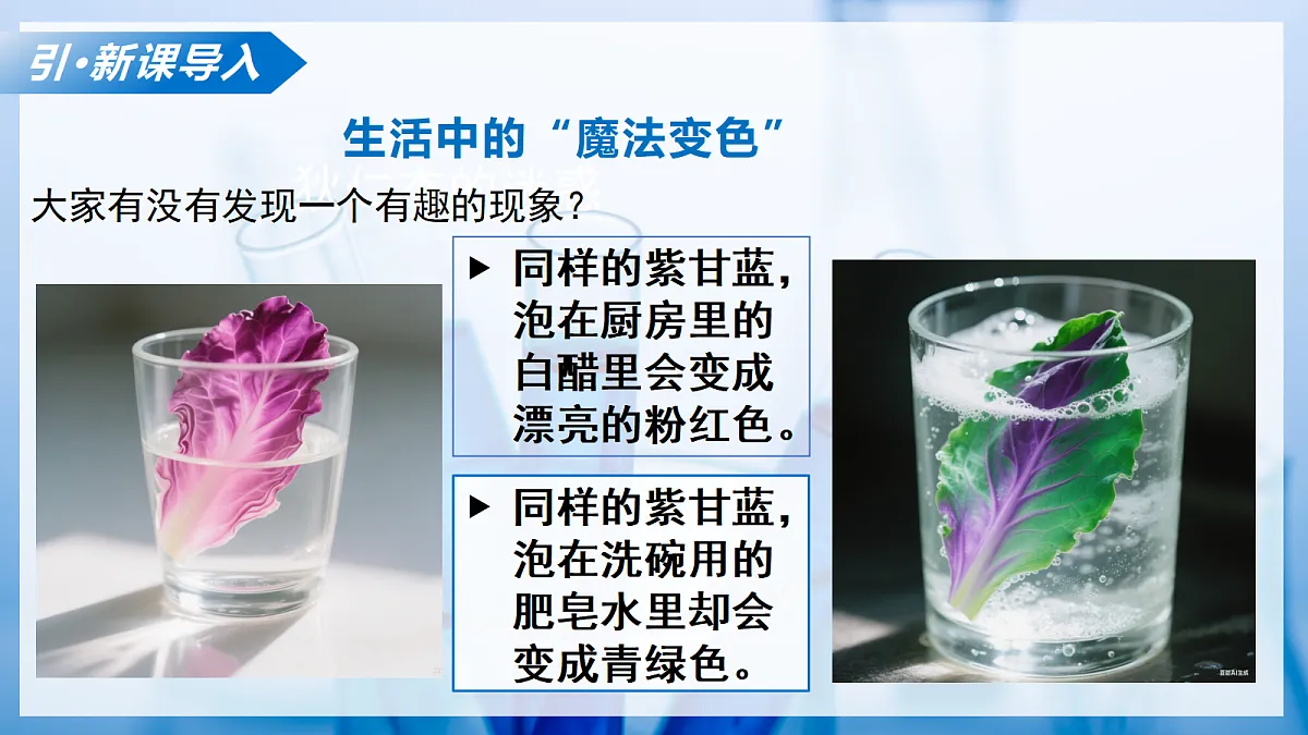 课题1 初识酸和碱 第1课时(教学课件)化学沪科版五四学制2024九年级全一册第4页