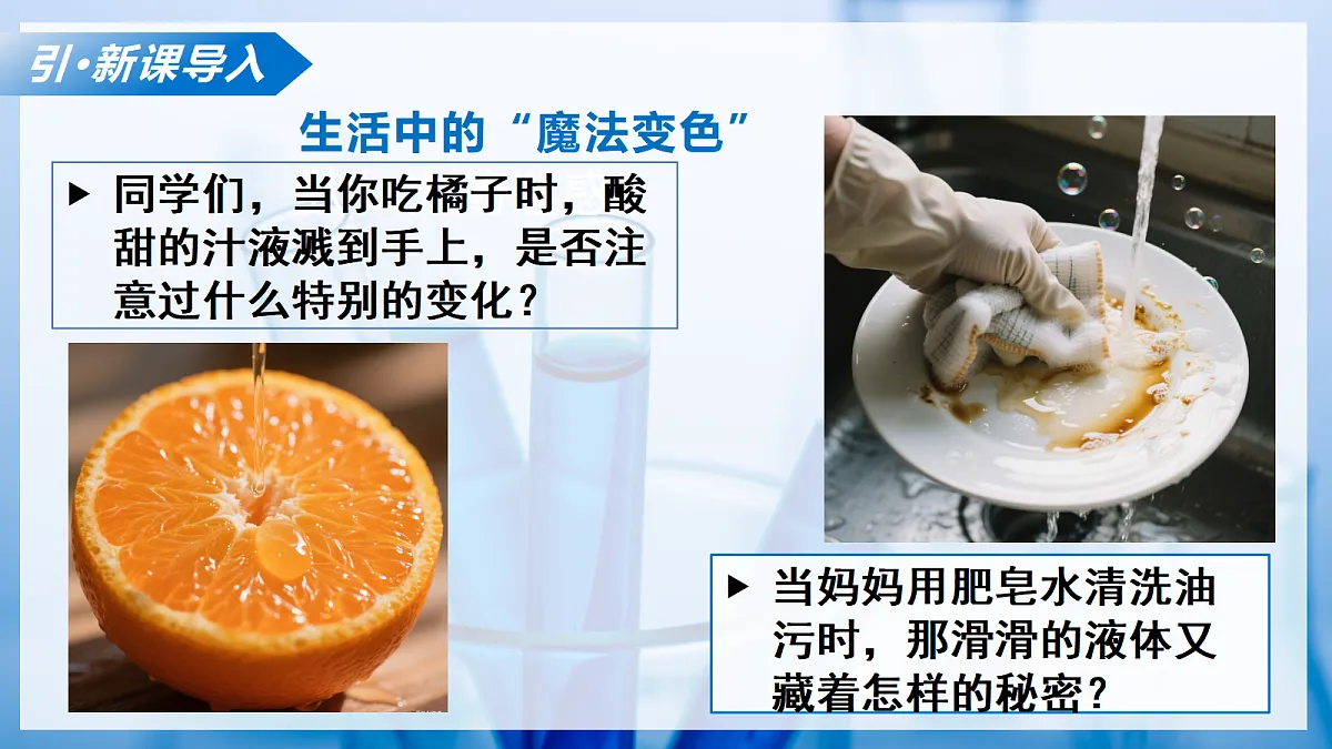 课题1 初识酸和碱 第1课时(教学课件)化学沪科版五四学制2024九年级全一册第5页