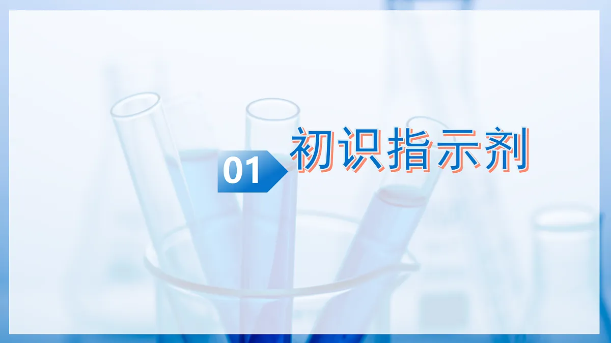 课题1 初识酸和碱 第1课时(教学课件)化学沪科版五四学制2024九年级全一册第6页