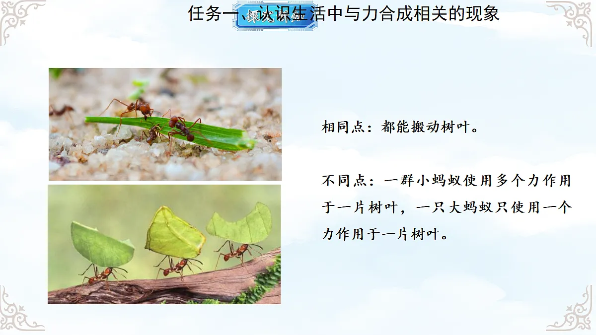 18611693第5页