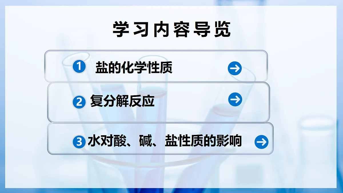 课题2 认识酸、碱、盐的性质和应用 第4课时(教学课件)化学沪科版五四学制2024九年级全一册第2页