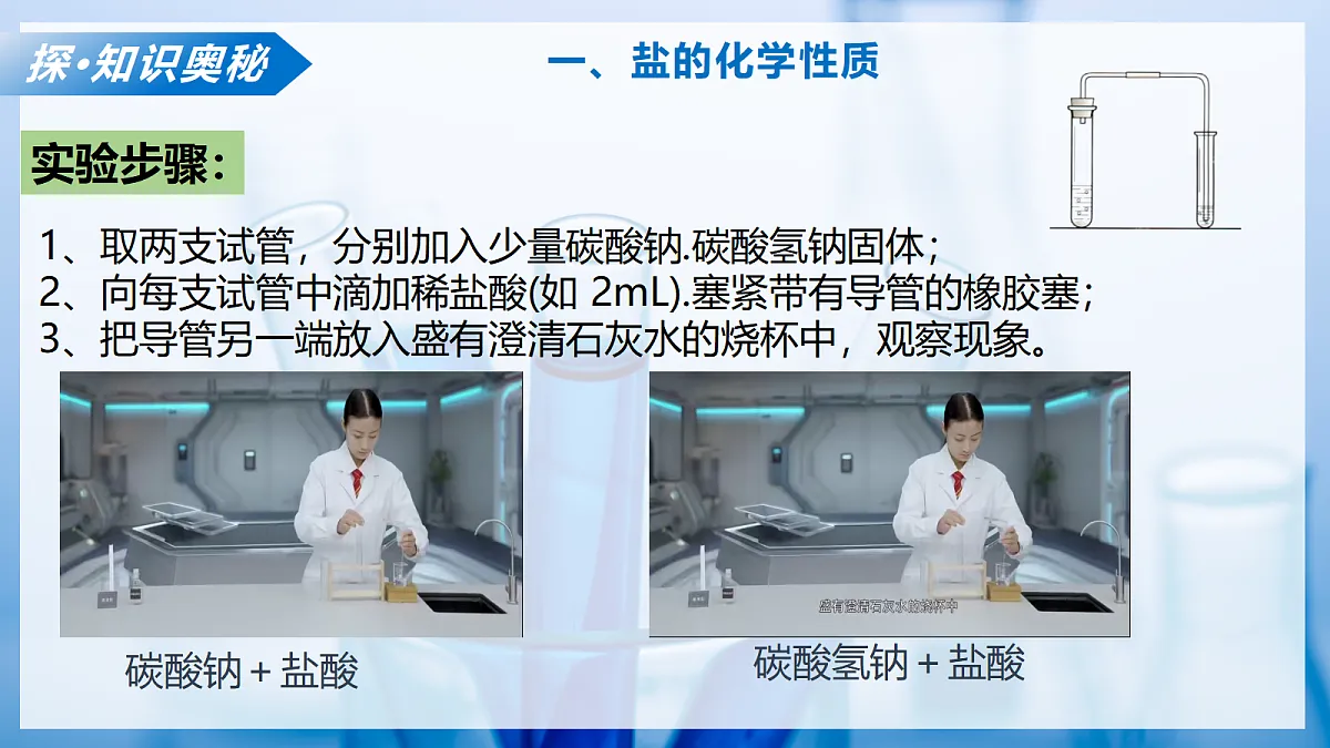 课题2 认识酸、碱、盐的性质和应用 第4课时(教学课件)化学沪科版五四学制2024九年级全一册第7页