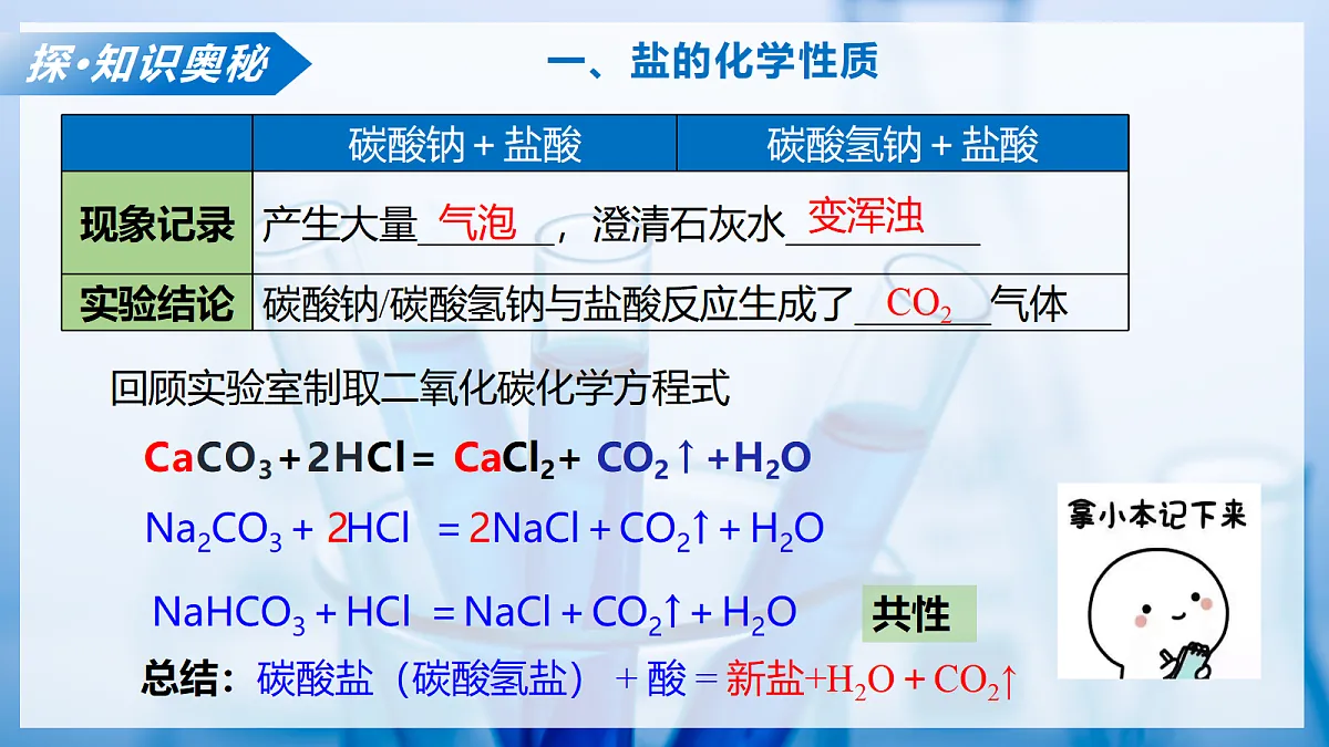 课题2 认识酸、碱、盐的性质和应用 第4课时(教学课件)化学沪科版五四学制2024九年级全一册第8页