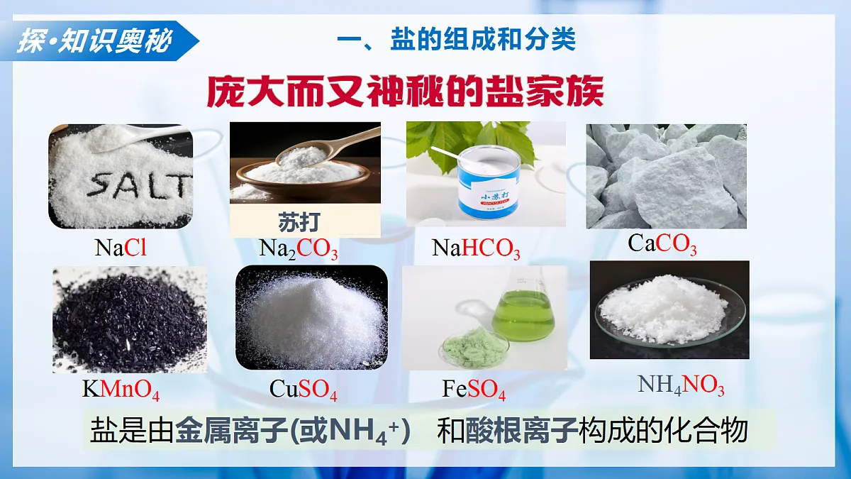课题2 认识酸、碱、盐的性质和应用 第3课时(教学课件)化学沪科版五四学制2024九年级全一册第6页