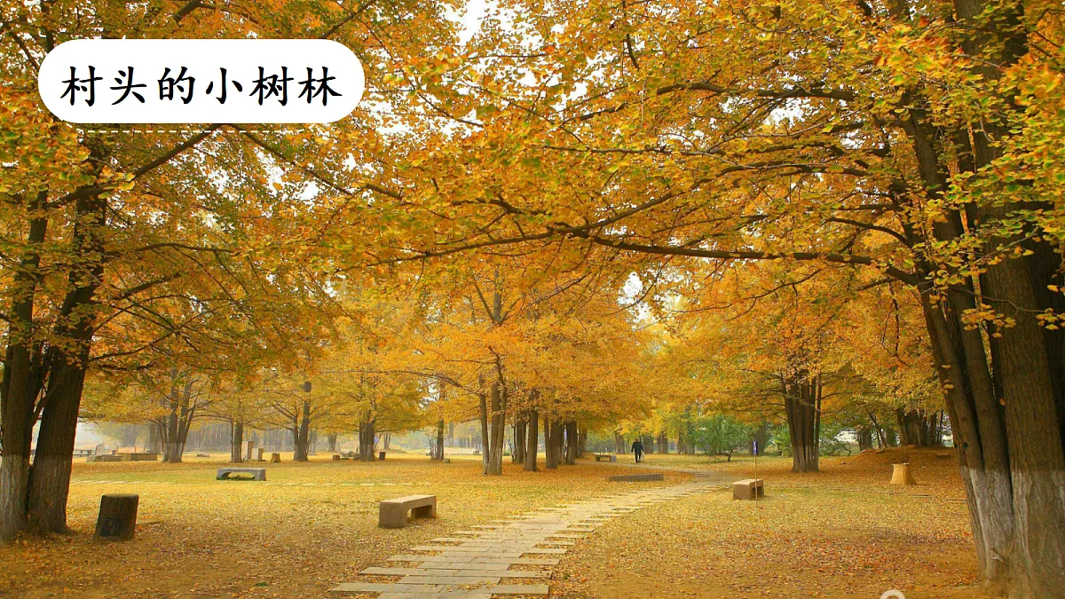 18614270第6页