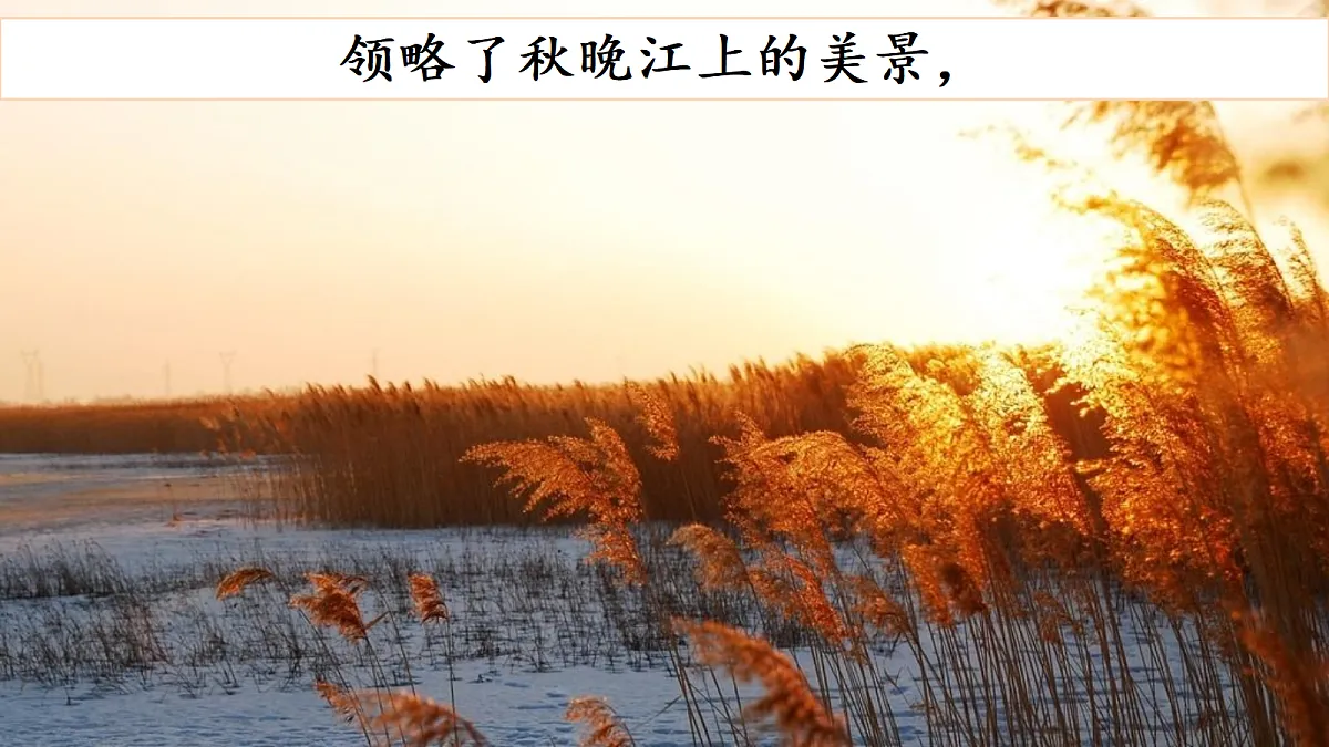 18614300第6页