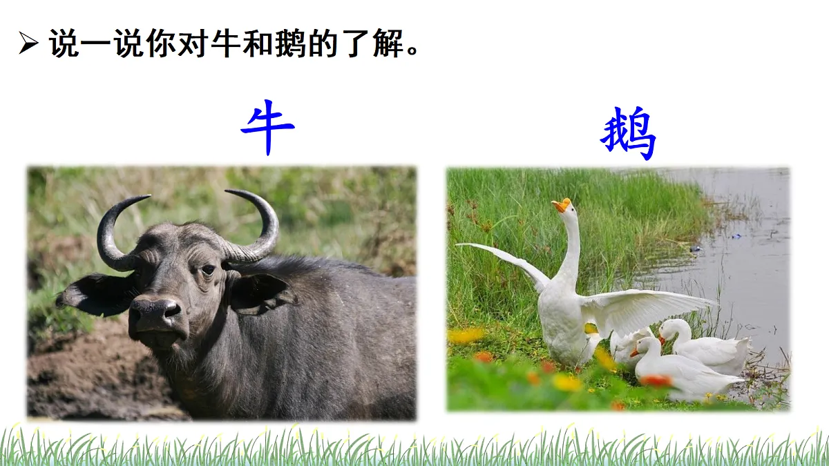 18614469第3页