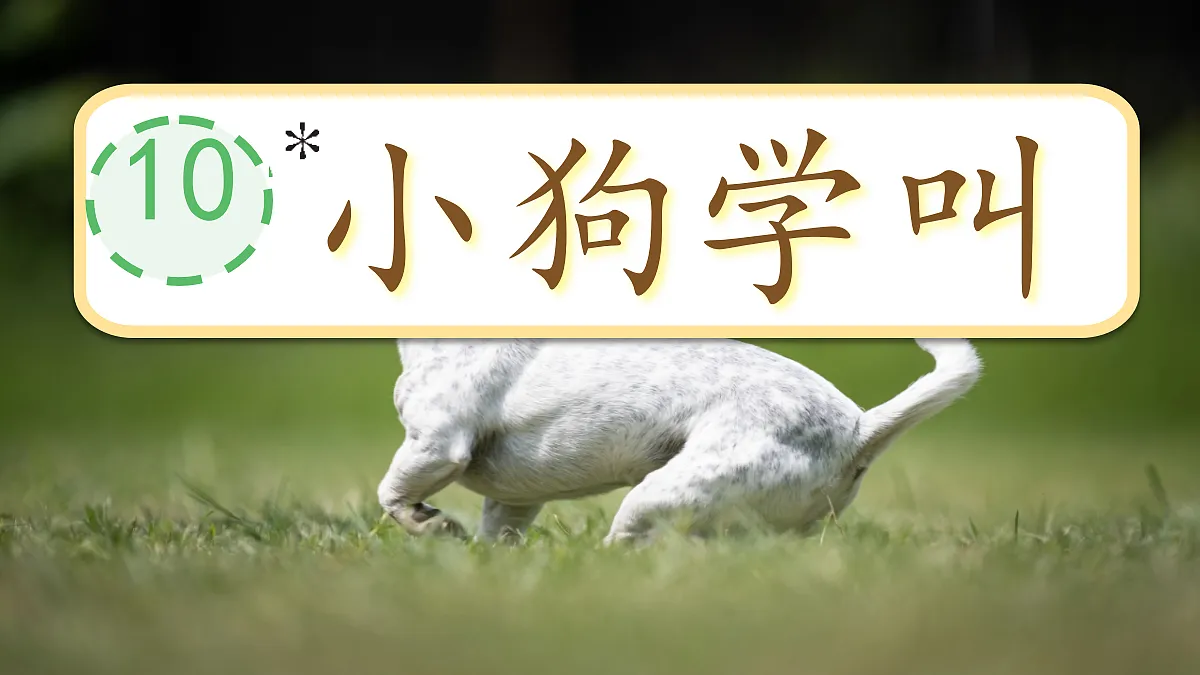 18616823第1页