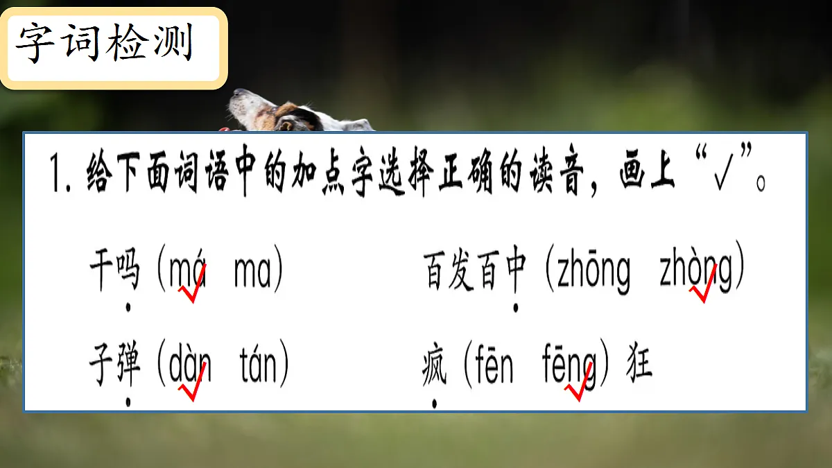 18616823第3页