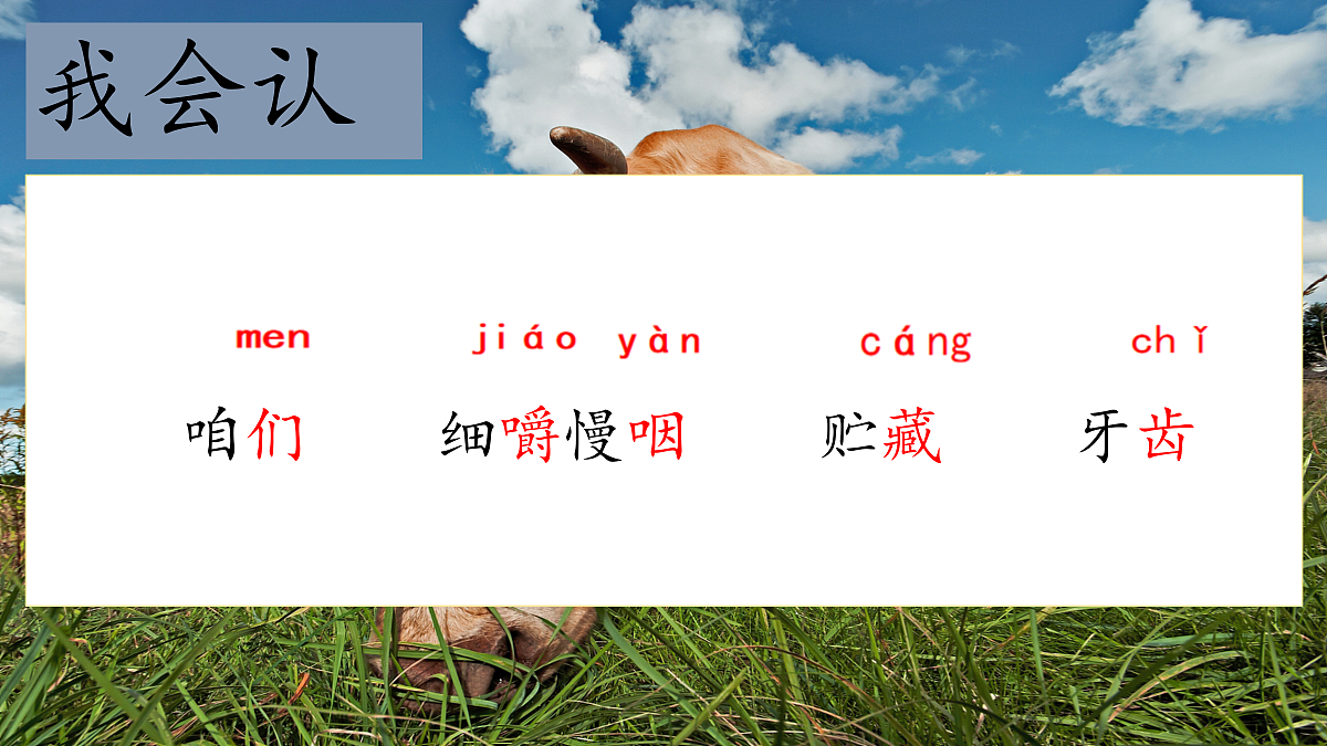 18616824第4页