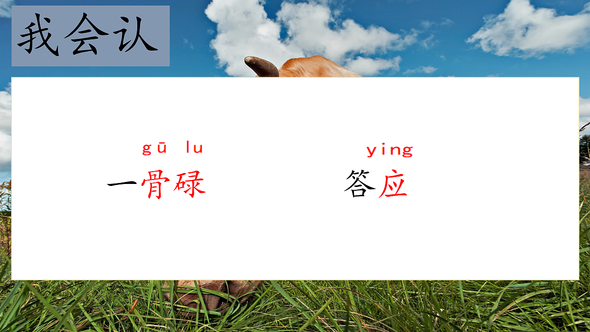 18616824第5页