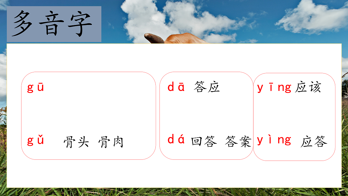 18616824第6页