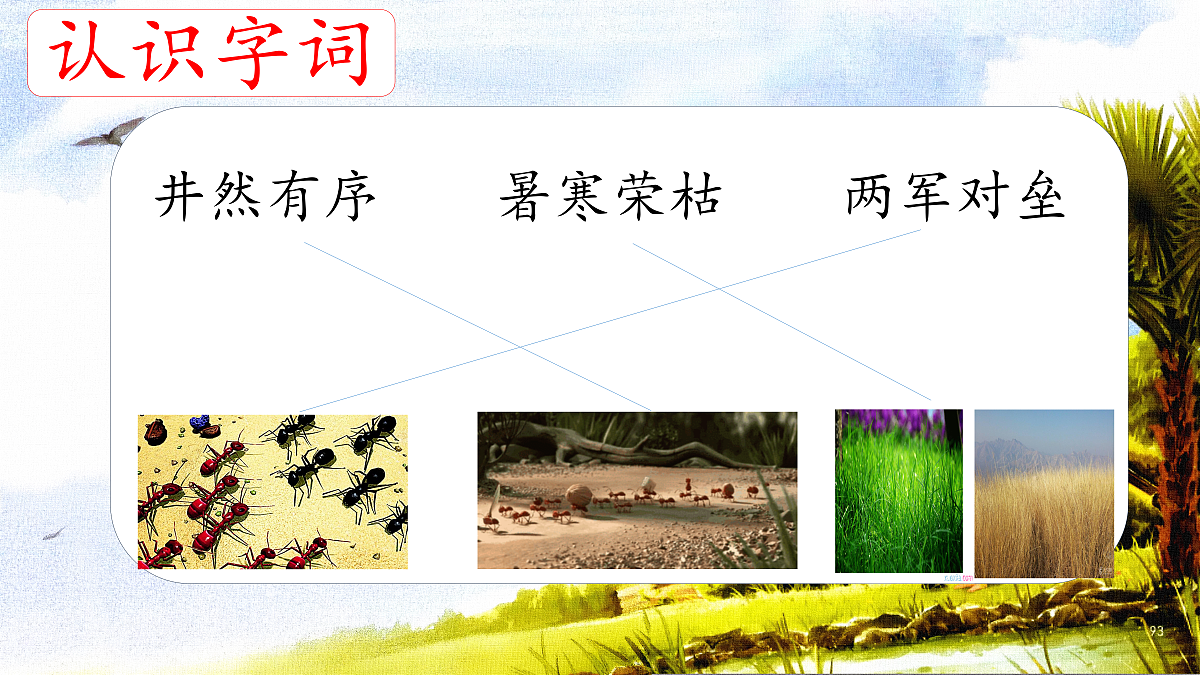 18616833第5页