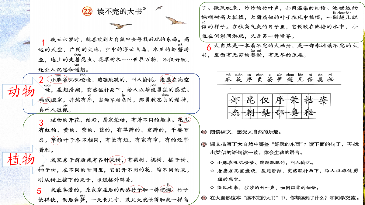 18616833第8页