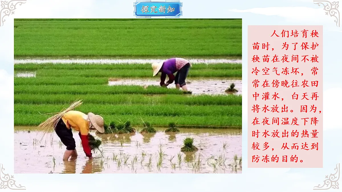 18616887第6页