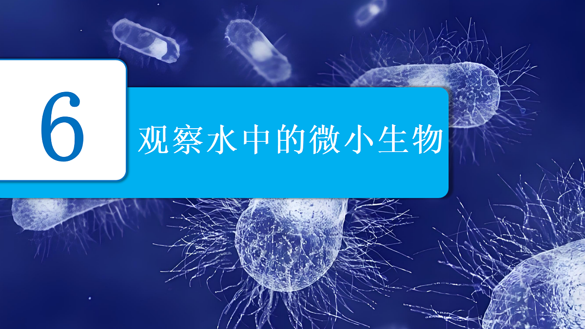 18619343第2页