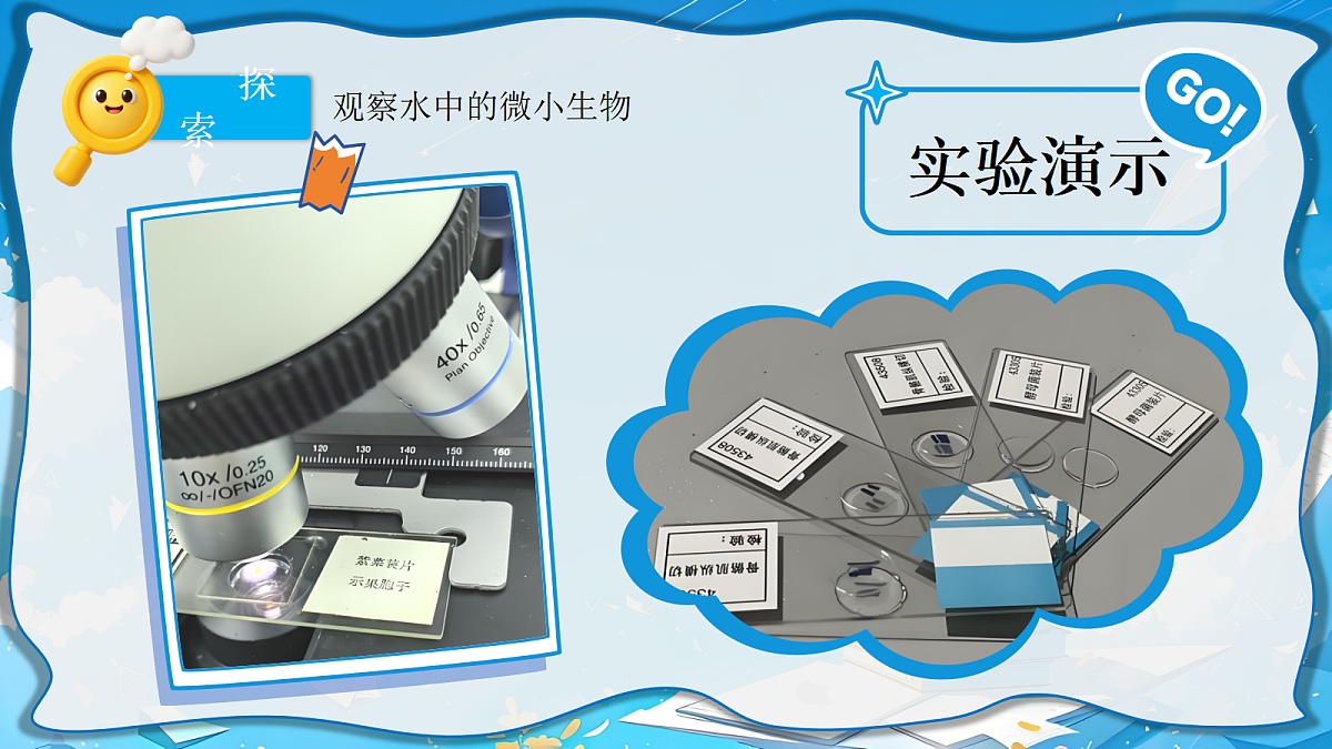 18619343第5页
