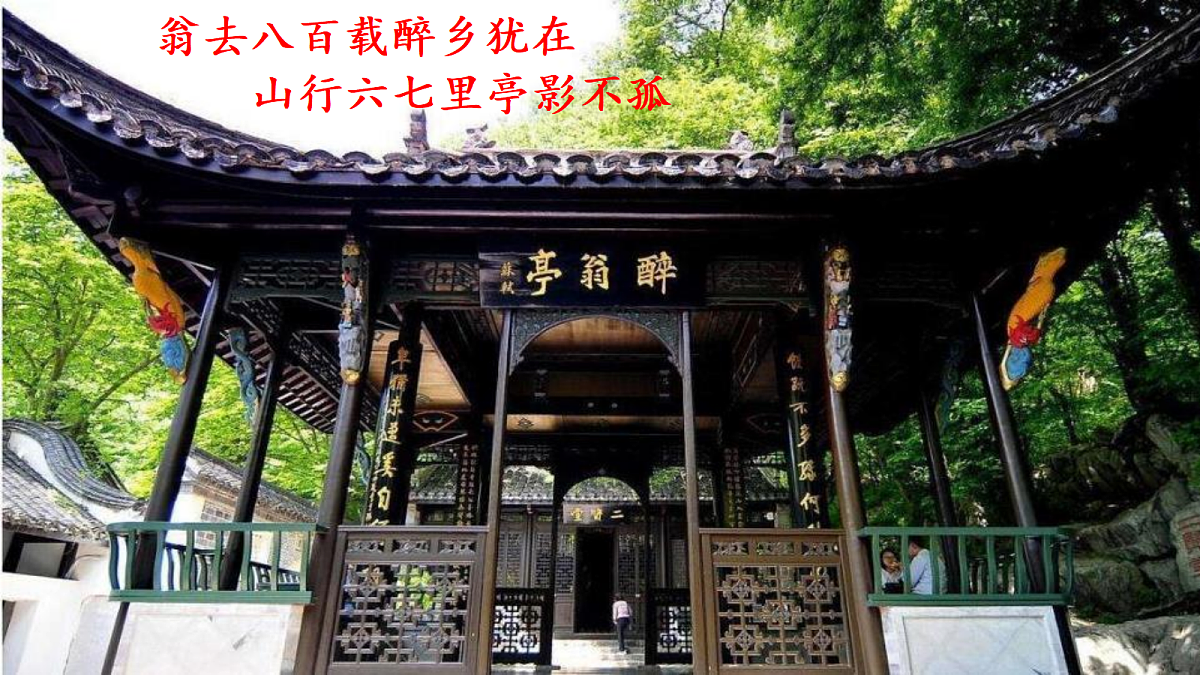 18619495第4页