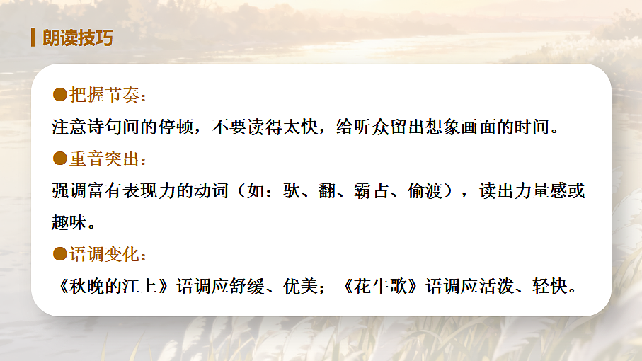 18620596第5页