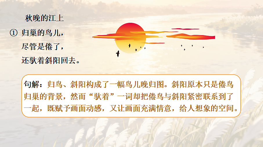 18620596第8页