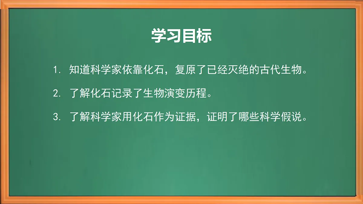 苏教版小学科学六年级上册第二单元《8 用化石作为证据》课件、视频、作业设计第3页