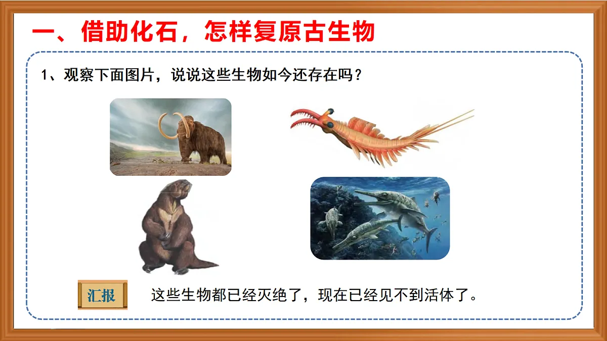 苏教版小学科学六年级上册第二单元《8 用化石作为证据》课件、视频、作业设计第4页