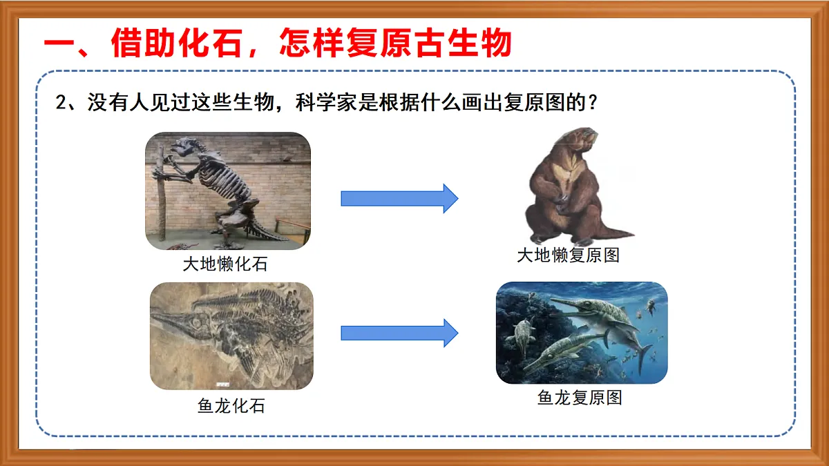 苏教版小学科学六年级上册第二单元《8 用化石作为证据》课件、视频、作业设计第6页
