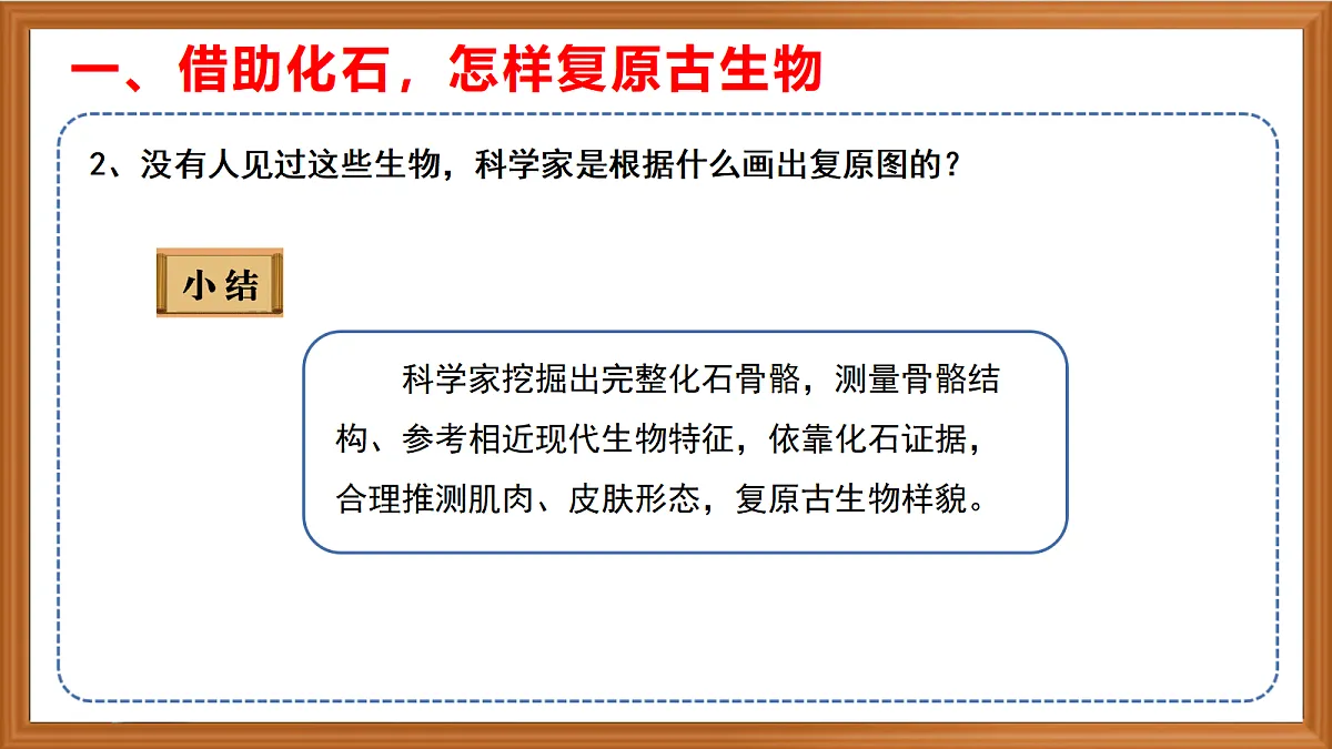 苏教版小学科学六年级上册第二单元《8 用化石作为证据》课件、视频、作业设计第7页