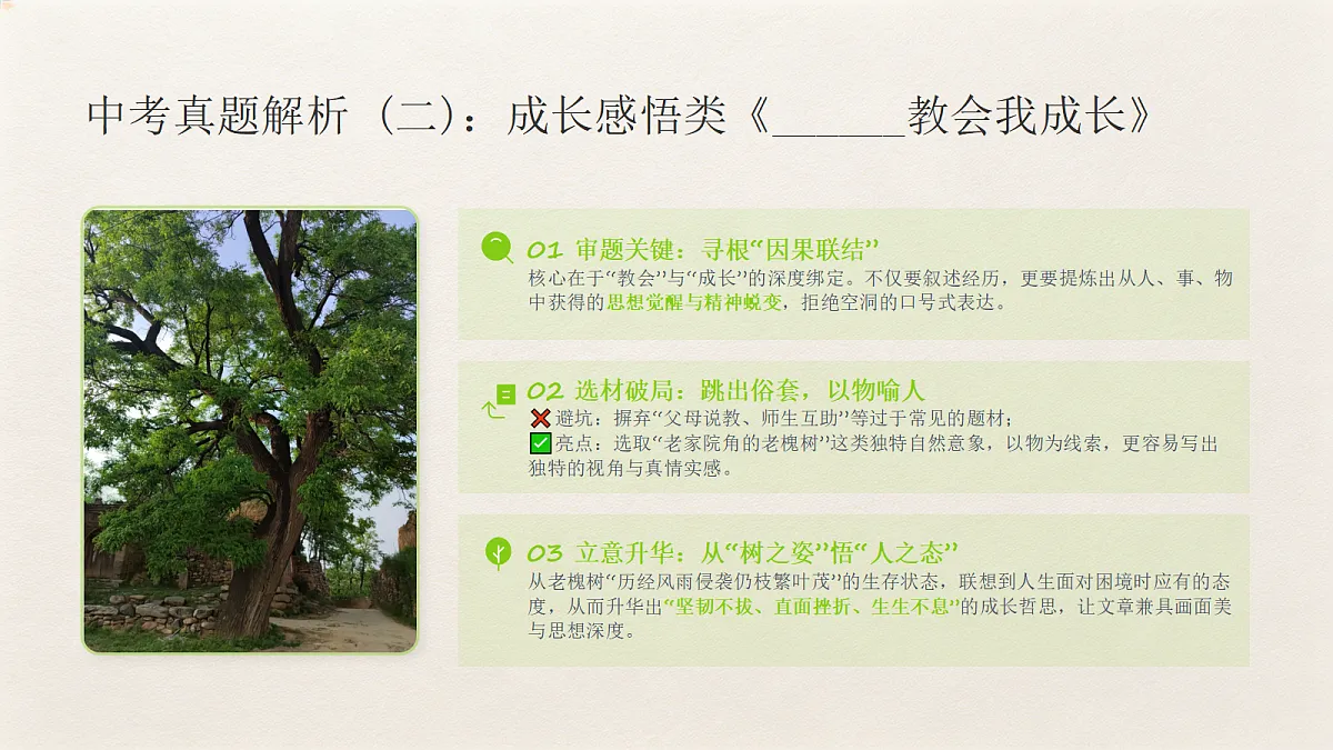 03 选材得当之新颖脱俗,以小见大(课件)第5页