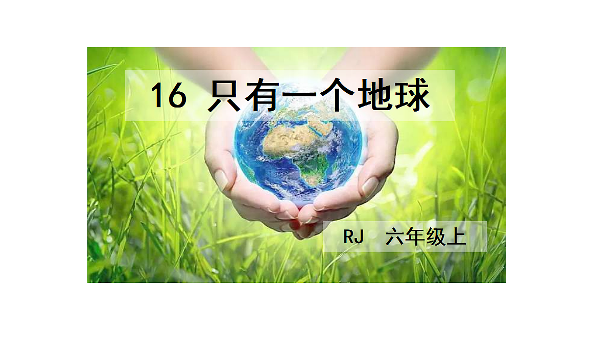 18623974第2页