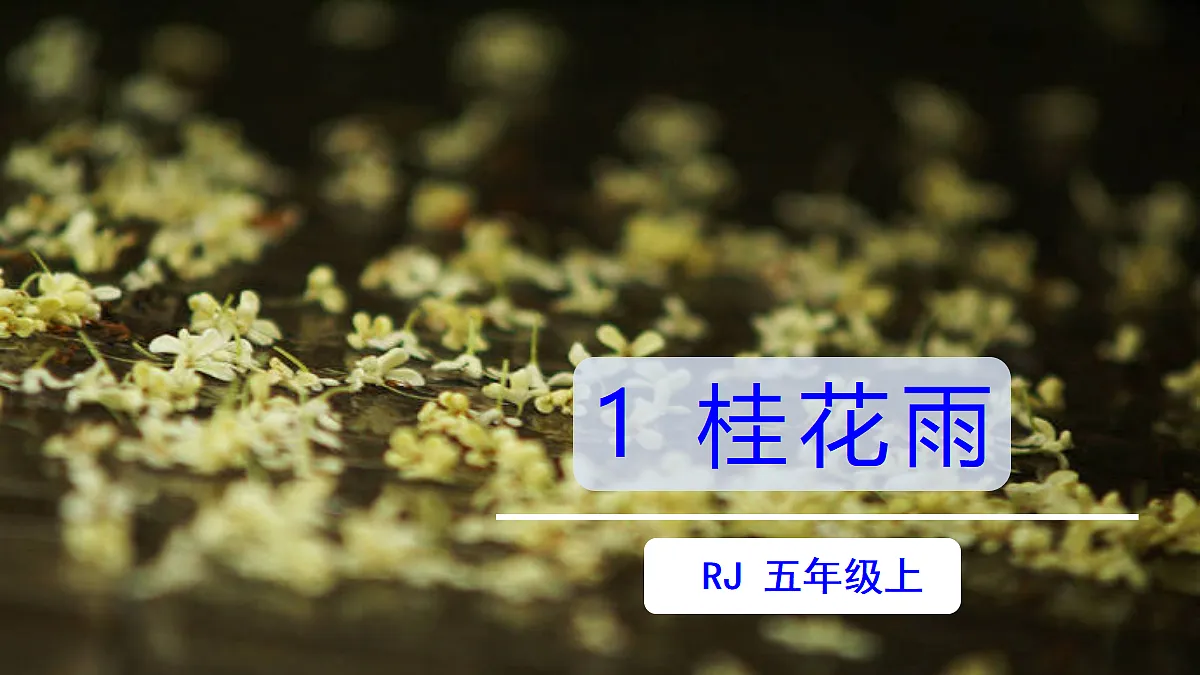 18624050第2页