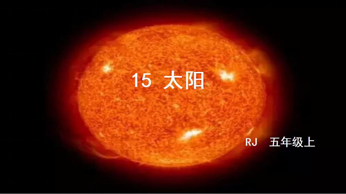 18624059第1页