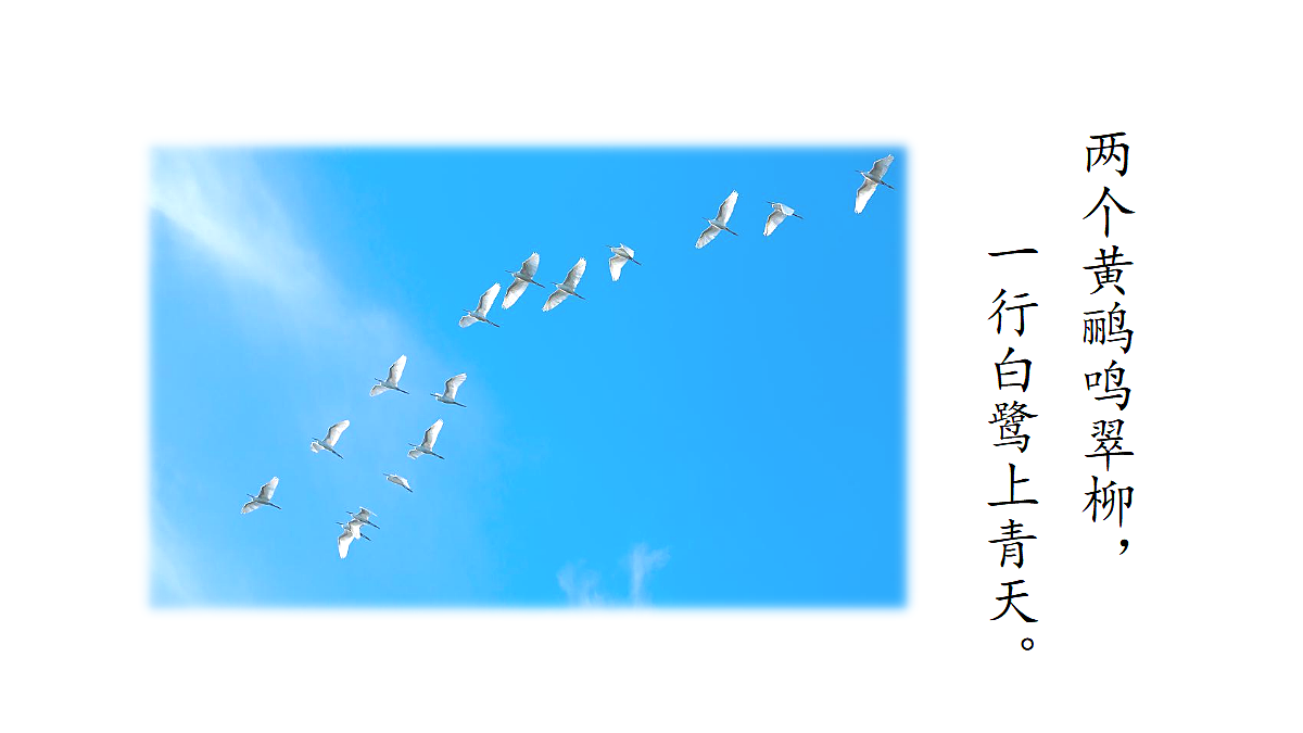 18624065第2页