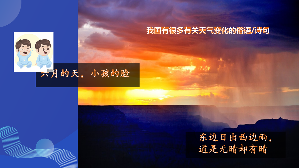 18631158第5页