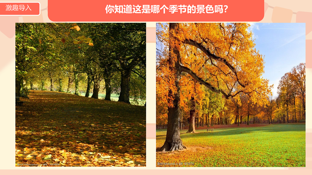 18632616第2页