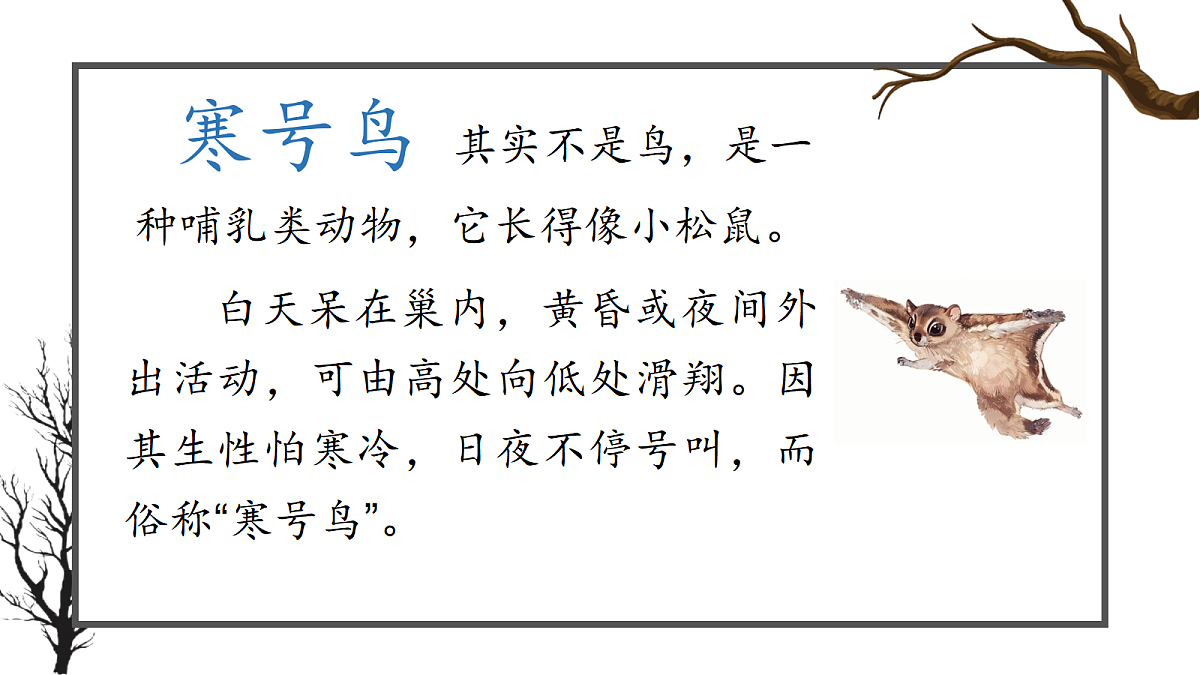 1.《课文13 寒号鸟》ppt课件第5页