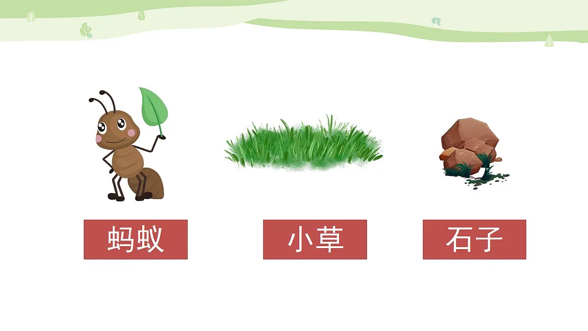习作:变形记【上课课件精华版】第4页