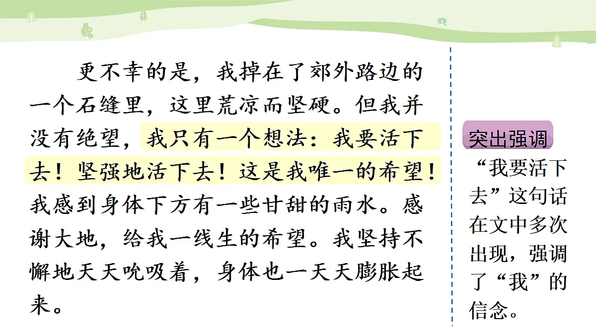 习作:变形记(范文+点评+升格)第5页