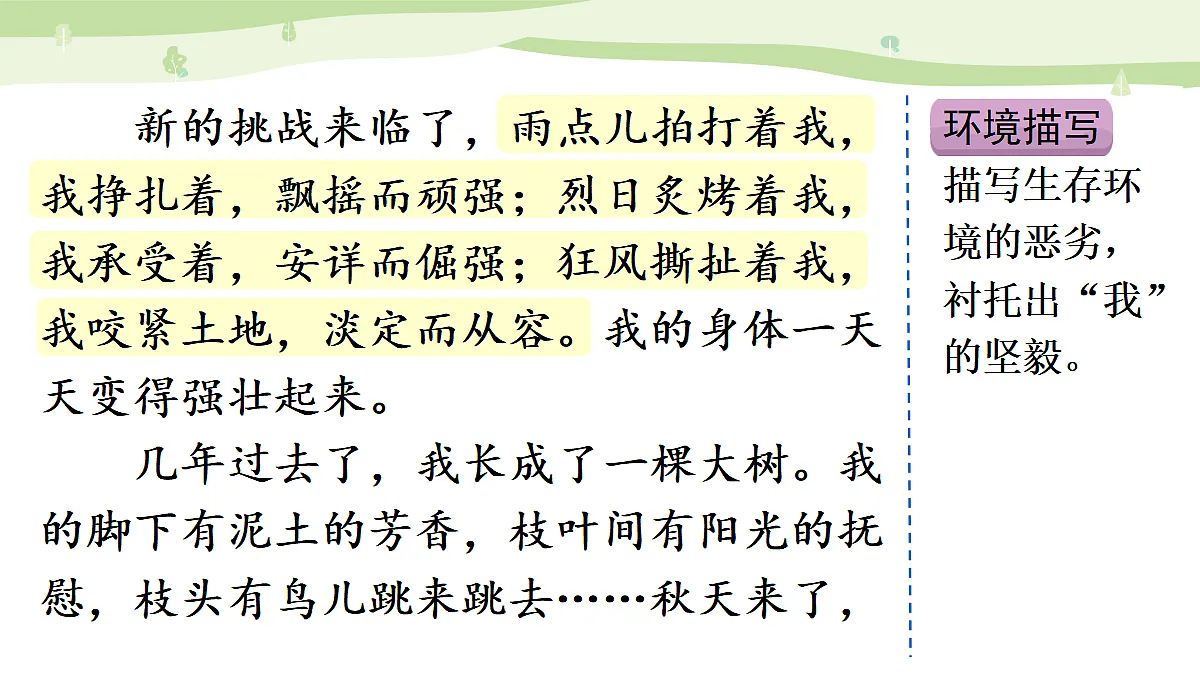 习作:变形记(范文+点评+升格)第7页