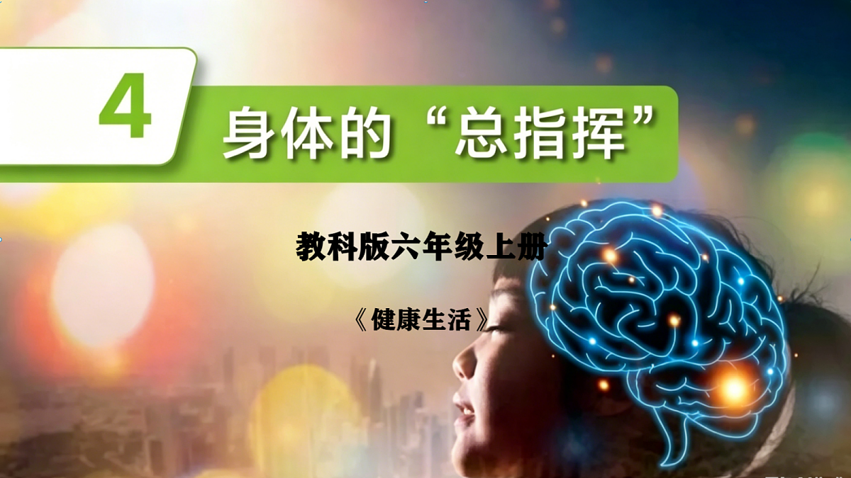 1.4身体的“总指挥”第1页