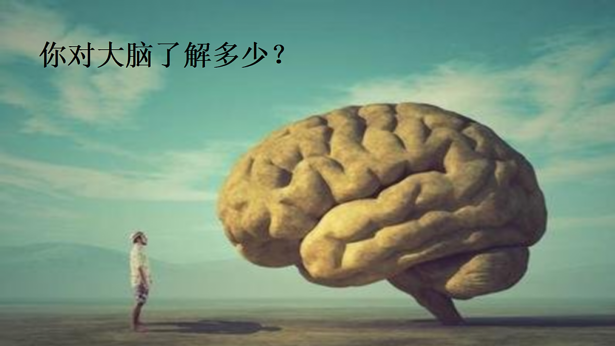 1.4身体的“总指挥”第3页