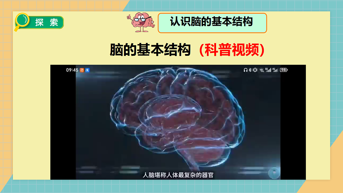 1.4身体的“总指挥”第5页