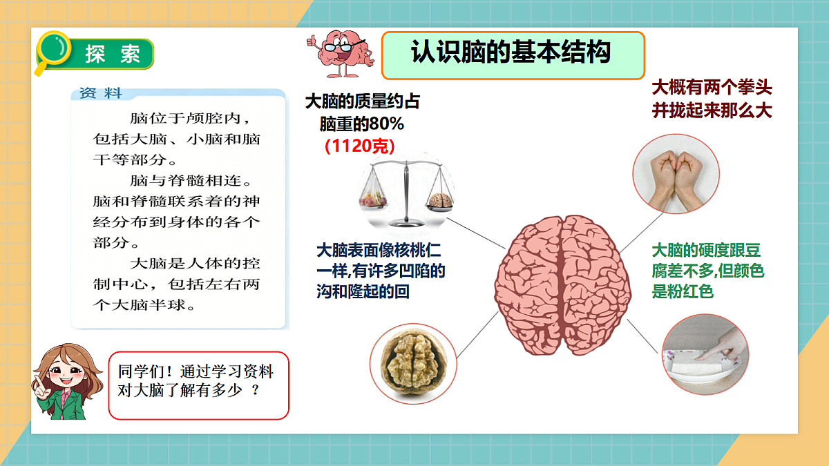 1.4身体的“总指挥”第6页