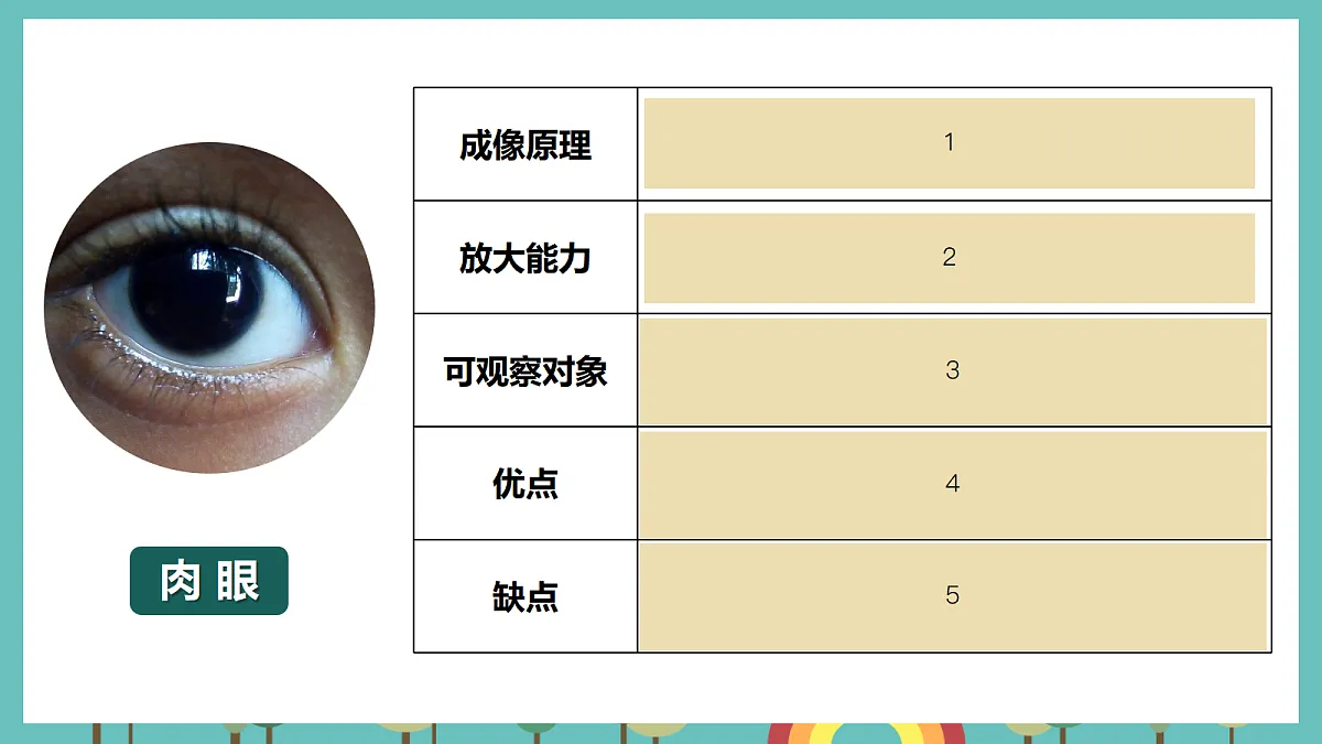 第一单元 微小世界 单元小结+科学阅读 - 小学科学五级上册 同步教学课件(教科版2024)第3页