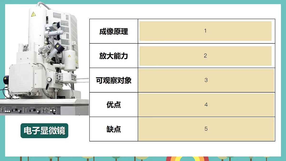 第一单元 微小世界 单元小结+科学阅读 - 小学科学五级上册 同步教学课件(教科版2024)第6页